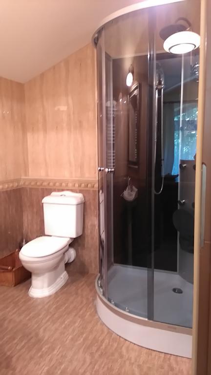 Villa Podkowa Podkowa Leśna Extérieur photo